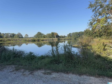 Lake Acreage For Sale in Lincoln, Alabama