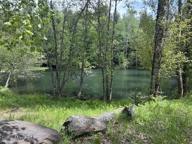 Custom-built home on 13.59 private, treed acres in the highly - photo 20