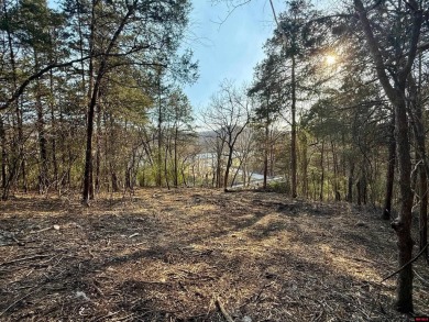 Lake Acreage For Sale in Cotter, Arkansas