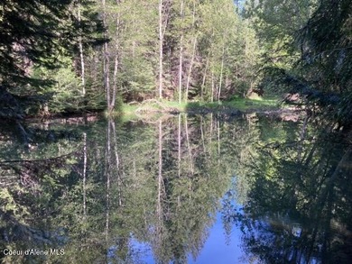 Custom-built home on 13.59 private, treed acres in the highly - photo 22