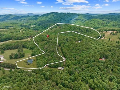 Welcome to 177 Shangri La Drive, a private mountain retreat - photo 5
