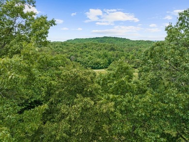 Welcome to 177 Shangri La Drive, a private mountain retreat - photo 7
