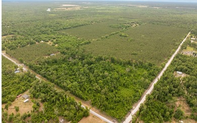Suwannee River Acreage For Sale in Live Oak Florida