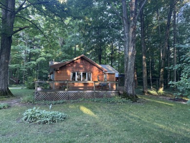 Lake Home For Sale in Gaylord, Michigan