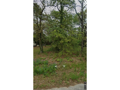 Lake Lot For Sale in Tool, Texas