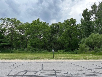 38 Acres in the desirable Falling Waters neighborhood! This - Lake Lot For Sale in Crown Point, Indiana