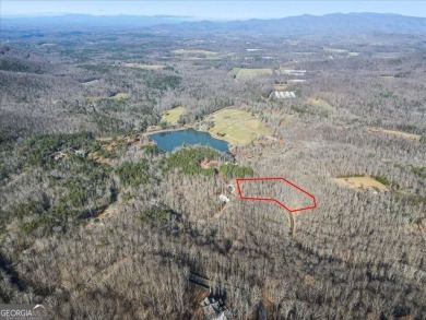 Lake Acreage For Sale in Ellijay, Georgia