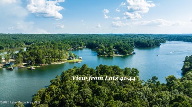 Lake Martin Lot For Sale in Jacksons Gap Alabama