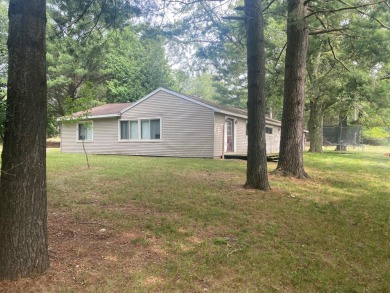 Hamlin Lake Home For Sale in Ludington Michigan