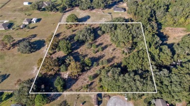 Little Lake Weir Acreage For Sale in Summerfield Florida