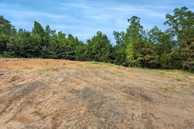 Less than 10 minutes from Wal Mart on Cantrell and Chenal - photo 13