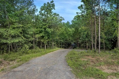Less than 10 minutes from Wal Mart on Cantrell and Chenal - photo 17