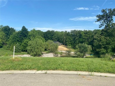 (private lake, pond, creek) Lot For Sale in Trenton Illinois