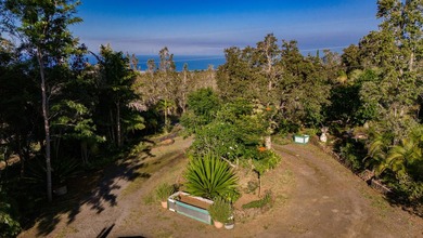 ~Motivated Seller~ Opportunity awaits on Ginger Blossom Lane! - photo 3