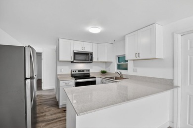 Spacious, Open and Newly Renovated 3BR /2BA home w/ contemporary - photo 8