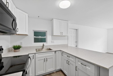 Spacious, Open and Newly Renovated 3BR /2BA home w/ contemporary - photo 9