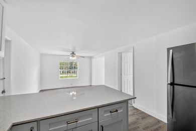 Spacious, Open and Newly Renovated 3BR /2BA home w/ contemporary - photo 10