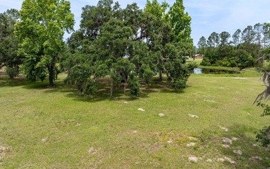 Build your dream site-built home on this beautiful half-acre - photo 7