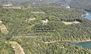 Norris Lake Acreage For Sale in Caryville Tennessee