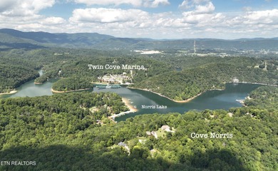 Welcome to your own Enchanted Forest on Norris Lake! You'll find - photo 2