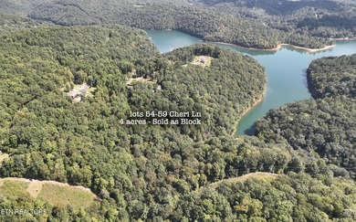 Welcome to your own Enchanted Forest on Norris Lake! You'll find - photo 3
