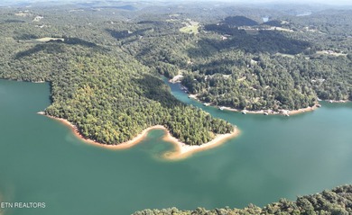 Welcome to your own Enchanted Forest on Norris Lake! You'll find - photo 4