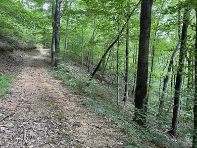 Welcome to your own Enchanted Forest on Norris Lake! You'll find - photo 6