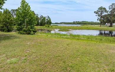 Build your dream site-built home on this beautiful half-acre - photo 9