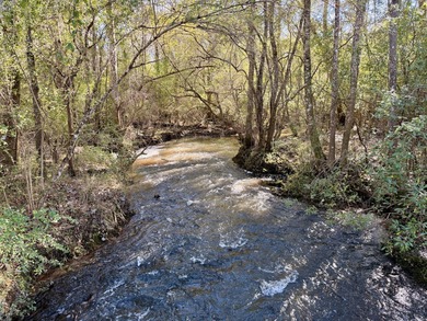 Located between Goodway and Frisco City, this contiguous tract - photo 2
