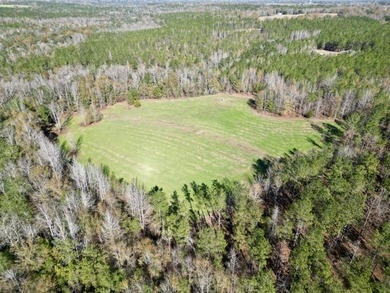 Located between Goodway and Frisco City, this contiguous tract - photo 3