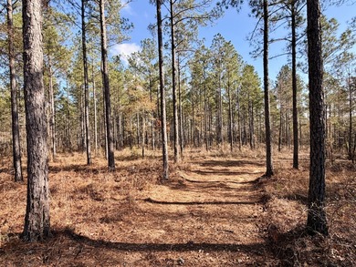 Located between Goodway and Frisco City, this contiguous tract - photo 4