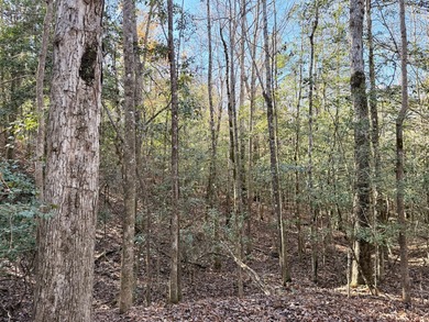 Located between Goodway and Frisco City, this contiguous tract - photo 5