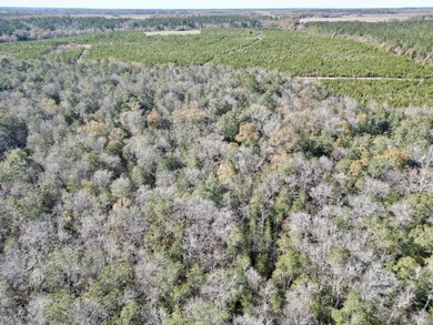 Located between Goodway and Frisco City, this contiguous tract - photo 6