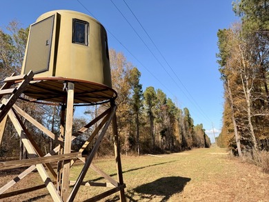 Located between Goodway and Frisco City, this contiguous tract - photo 8