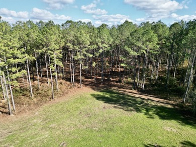 Located between Goodway and Frisco City, this contiguous tract - photo 9