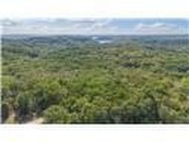 Nearly 80 acres of Lake of the Ozarks land in Gravois Mills, MO - photo 13