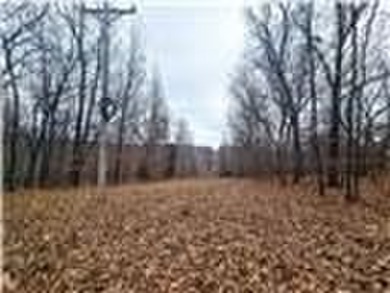 Nearly 80 acres of Lake of the Ozarks land in Gravois Mills, MO - photo 21