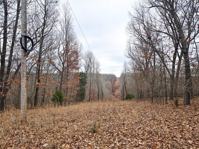 Nearly 80 acres of Lake of the Ozarks land in Gravois Mills, MO - photo 22