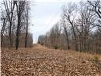 Nearly 80 acres of Lake of the Ozarks land in Gravois Mills, MO - photo 23