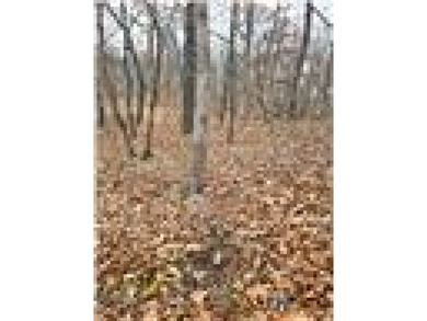 Nearly 80 acres of Lake of the Ozarks land in Gravois Mills, MO - photo 26