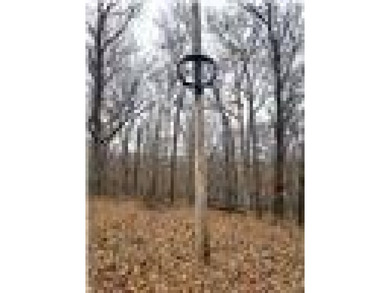 Nearly 80 acres of Lake of the Ozarks land in Gravois Mills, MO - photo 27