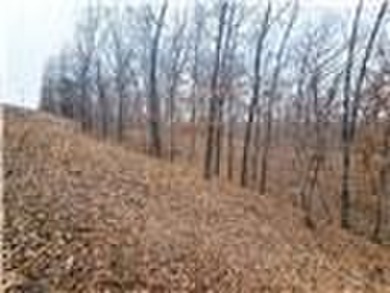 Nearly 80 acres of Lake of the Ozarks land in Gravois Mills, MO - photo 28