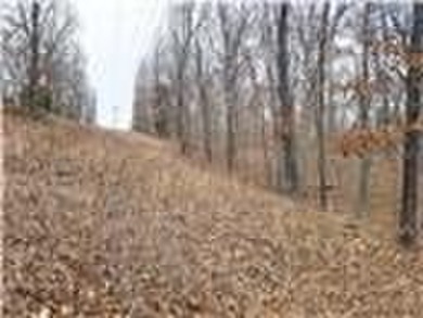 Nearly 80 acres of Lake of the Ozarks land in Gravois Mills, MO - photo 29
