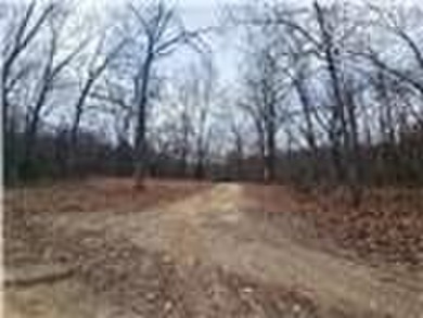 Nearly 80 acres of Lake of the Ozarks land in Gravois Mills, MO - photo 34