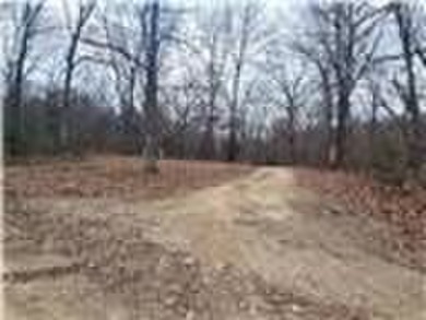 Nearly 80 acres of Lake of the Ozarks land in Gravois Mills, MO - photo 35
