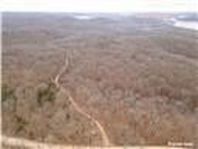Nearly 80 acres of Lake of the Ozarks land in Gravois Mills, MO - photo 36
