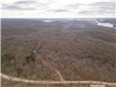 Nearly 80 acres of Lake of the Ozarks land in Gravois Mills, MO - photo 38