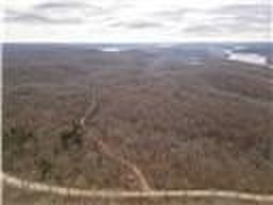 Nearly 80 acres of Lake of the Ozarks land in Gravois Mills, MO - photo 39