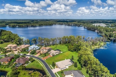 (private lake, pond, creek) Home For Sale in Land O Lakes Florida