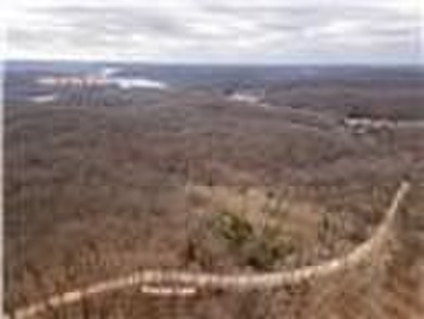 Nearly 80 acres of Lake of the Ozarks land in Gravois Mills, MO - photo 42